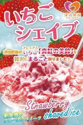 津田農園(イチゴシェイプ)